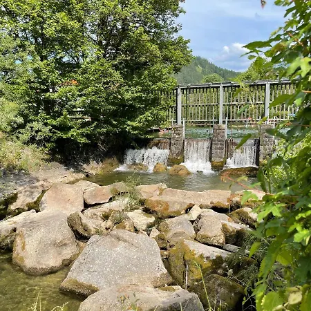 Apartment House Promenade Lunz am See